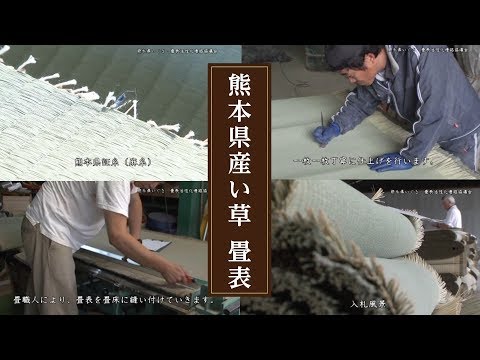 09 くまもと県産い草畳表