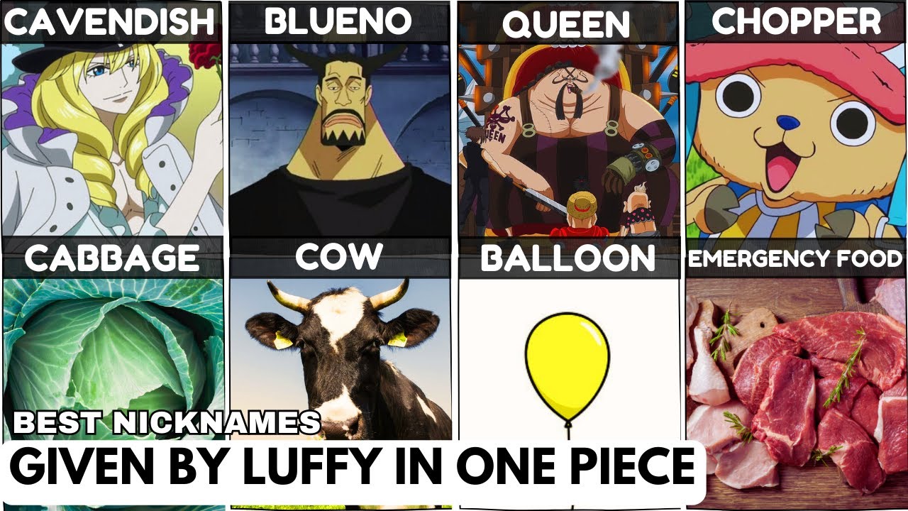 Best Nicknames Given By Luffy YouTube