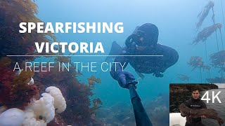 Spearfishing Lingcod and Rockfish in VICTORIA BC / A Reef FULL OF LIFE right outside the city 🤯😳