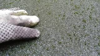Removing Moss from Roofing Removing Moss from Roofing