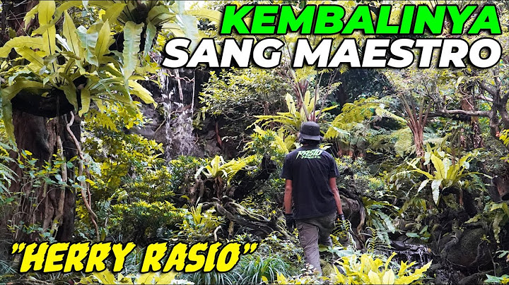SANG MAESTRO HERRY RASIO TURUN LAPANGAN LAGI. BAKAL ADA PROJEK BESAR2AN LAGI DI AVIARY..!