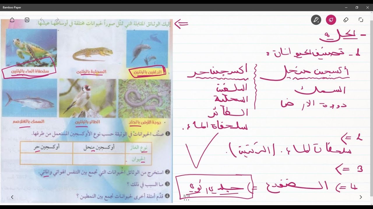 علوم طبيعية الثانية متوسط وضعية ادماجية لانماط التنفس