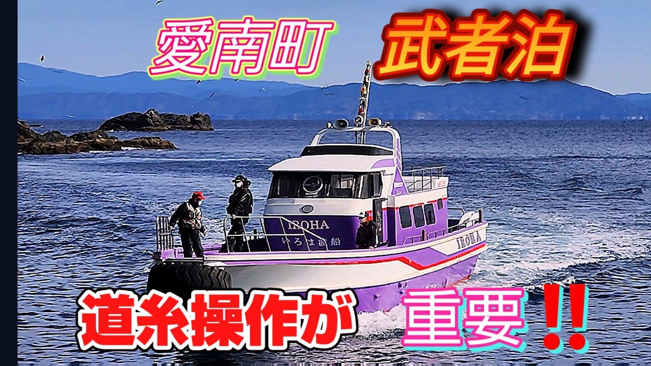 2/5愛南町【武者泊】水中映像アリ　寒グレシーズン　巨グレを狙う❗(^-^)