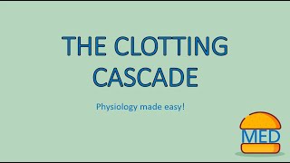 THE CLOTTING CASCADE explained! Physiology made easy