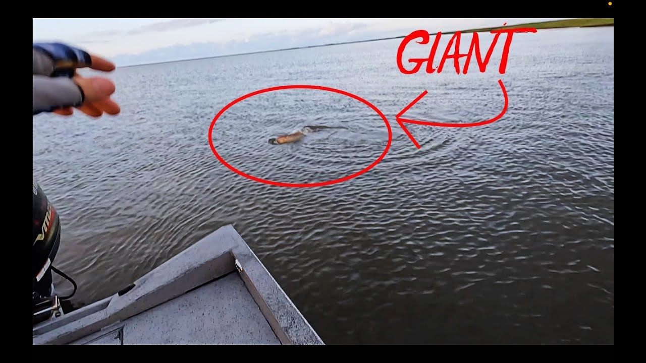 EPIC topwater blow ups!!