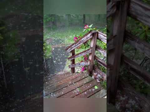 تحسبونه هينا وهو عند الله عظيم الغيبة و النميمة الشيخ ابو عبد الرحمن المتوكل