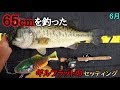 65cmを釣ったギルフラットのセッティング解説！