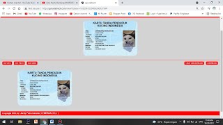 Cara Membuat KTP Kucing Indonesia |Kartu Tanda penduduk