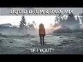  liquid drum  bass mix  if i wait  february 2024