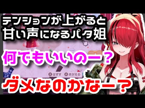 【どうぶつの森】テンションが上がって、甘い声になるパタ姐が可愛いすぎる！？役場との確執も…【にじさんじ切り抜き/レイン・パターソン】