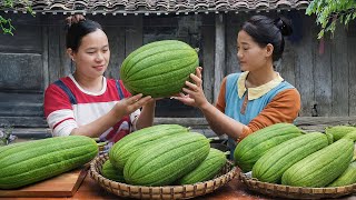 Harvesting Gourds with My Sister to Sell at the Market – Cooking Rice with Wild Gourds