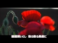 夕月乙女 SP盤 李香蘭