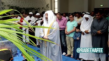 القارئ الشيخ: محمد ربيع الحافي