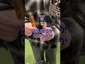 たまには外のお仕事の様子をお見せします#あおぎり高校 #音霊魂子