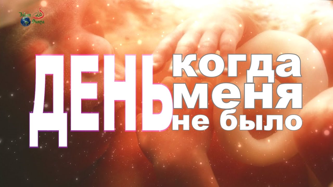 Когда день осаго
