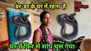 घर में फिर से सांप घुस गया 
