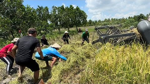 Chuột Nhiều Khủng Hoảng Đội Hình Này Chuột Nào Chạy Thoát | Hunting | - TT2140