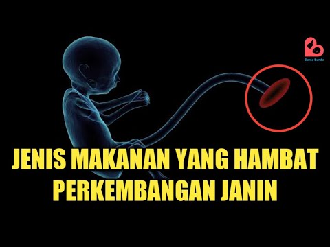 Makanan Yang Membuat Janin Tidak Berkembang