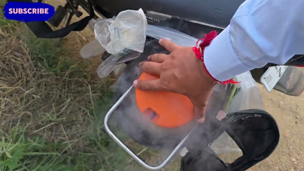 Buffalo Semen Collection: The Most Unusual Techniques