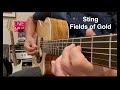 Sting  fields of gold  acoustic guitar classic rock cover song