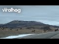 Herd of Elk Cross the Road in Alberta || ViralHog