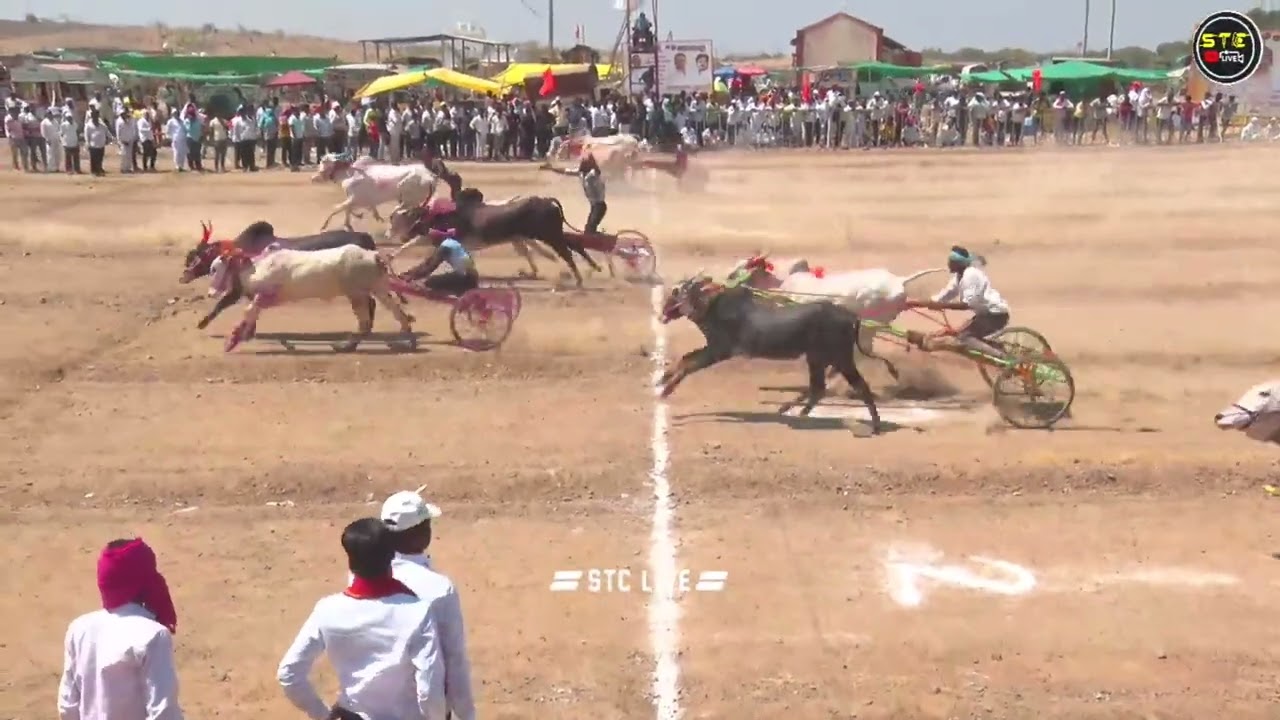 गट क्रमांक - 32 हिंदूहृदयसम्राट केसरी - 2026 बरड