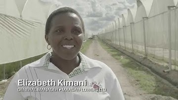 The Paper Trail of a Container: Elizabeth and Ephrance