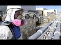Fukushima, Five Years Later