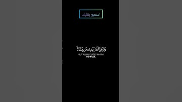 ما تيسر من سورة القصص بصوت ياسر الدوسري #ياسر_الدوسري #قرآن #قران_كريم