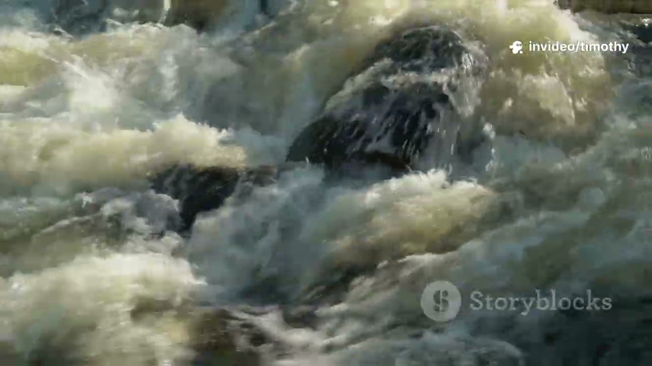 25 Animal and Nature Puns Video