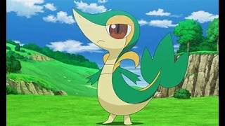 POKEMON BLACK PART 2 THE GRASS IS HIDING STUFF