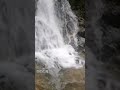 龍神様居ました🐉弥助の滝浄化龍神歓迎の光 龍神守護のサイン天龍🐉🌈369