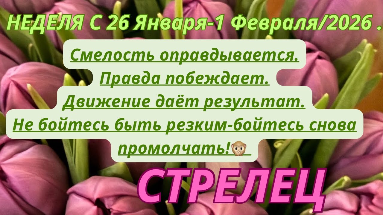 СТРЕЛЕЦ ♐️ ТАРОСКОП С 26 Января-1 Февраля/2026 от Alisa Belial 