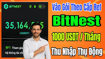 Cách kiếm tiền cùng BitNest 1000$ mỗi tháng theo chế độ cấp ref | Thu nhập thụ động chỉ cần 1$