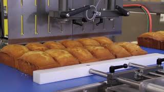 Ultrasonic Loaf Cake Slicing Machine - ACCUSONIC-100LS FoodTools