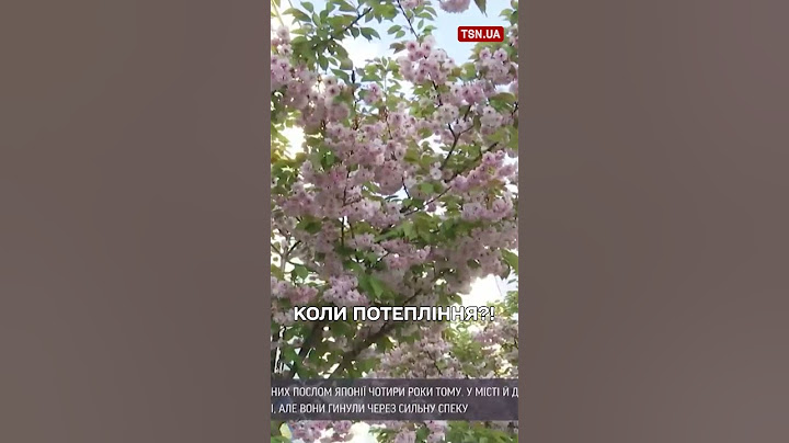 А літо буде?! Погода в Україні шокує!