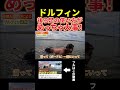 ドルフィン！後ろ足の使い方がめっちゃ大事！#サーフィン #サーフィンスクール #川畑友吾 #千葉