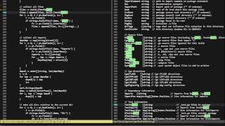 VIM rules