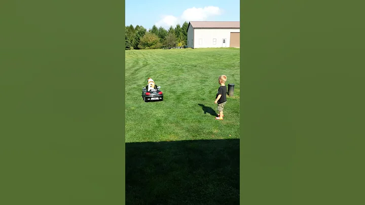 Jack Russel drives a power wheels car