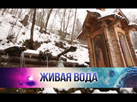 Какие болезни лечит Гремячий ключ под Сергиевым Посадом в Подмосковье?