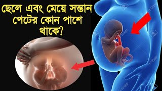 গর্ভের বাচ্চা পেটের কোন পাশে থাকে ? || bangla health tips for pregnancy || womb baby gender.