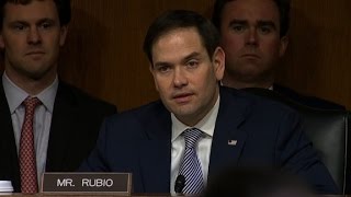 Rubio says his campaign was targeted by Russia