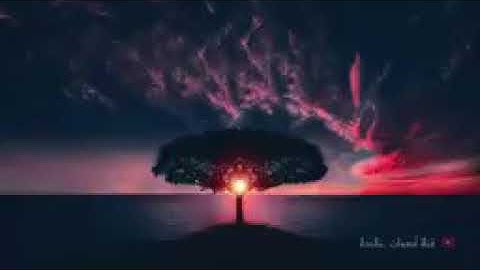 التلاوة التي يحتاجها كل من ضاق صدره وكثر همه