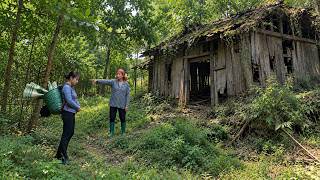 Full Video: 1 Year - Kicked Out of the House by Her Aunt - The Girl Builds a Bamboo House Alone