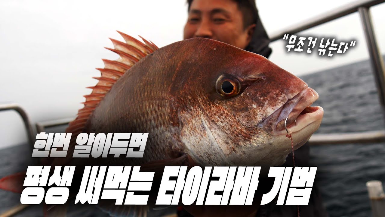 내림 참돔 시작! 활성도가 떨어진 활성도를 반전시키는 기술은?