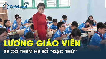 Bộ GD&ĐT: Lương giáo viên sẽ có thêm hệ số “đặc thù”, ngoài mức lương cơ bản |  CafeLand