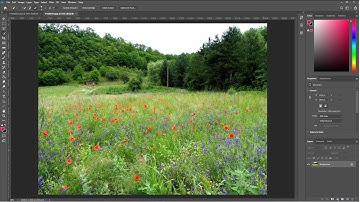 Photoshop- Filter Gallery