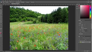 Photoshop- Filter Gallery
