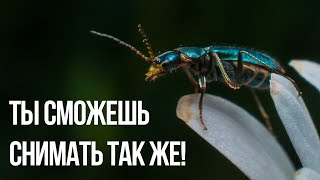 How to take a macro photo without macrolens? by ФотоАзбука 50,276 views 4 years ago 8 minutes, 21 seconds