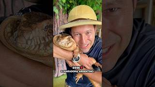 Você teria coragem de segurar um teiú?